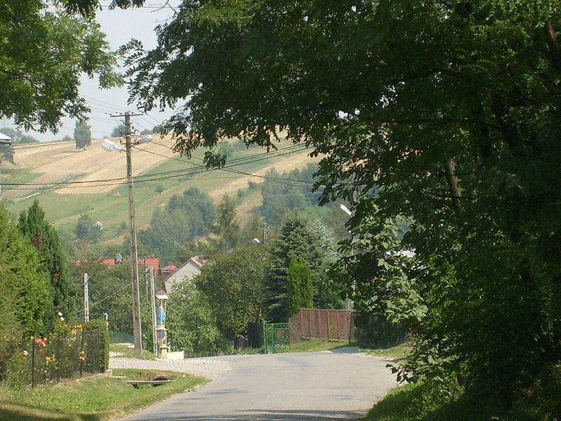 File:Bodzanów.JPG