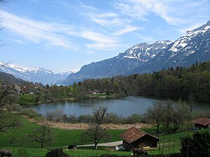 Burgseeli Goldswil Ringgenberg 1.jpg