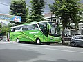 Bus pariwisata Pandawa 87 menggunakan bodi bus model Jetbus varian Jetbus SDD 2+.