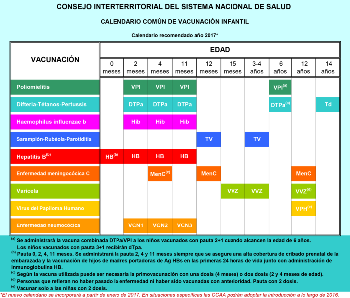 File:Calendario común de vacunación infantil. España 2017.png