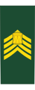 Canadian Army Drum Major.svg