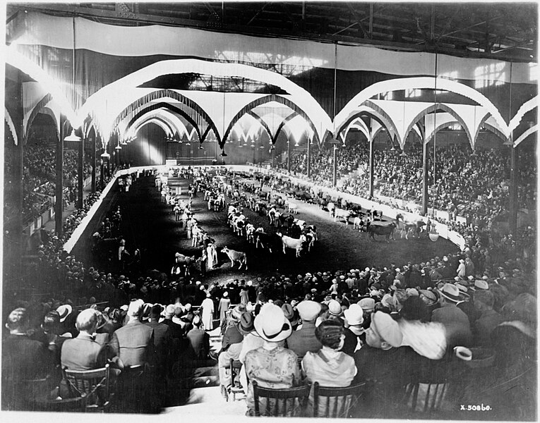 File:Canadian National Exhibition (C.N.E), livestock judging (I0026306).jpg