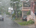 Thumbnail for Calabazas, San Sebastián, Puerto Rico