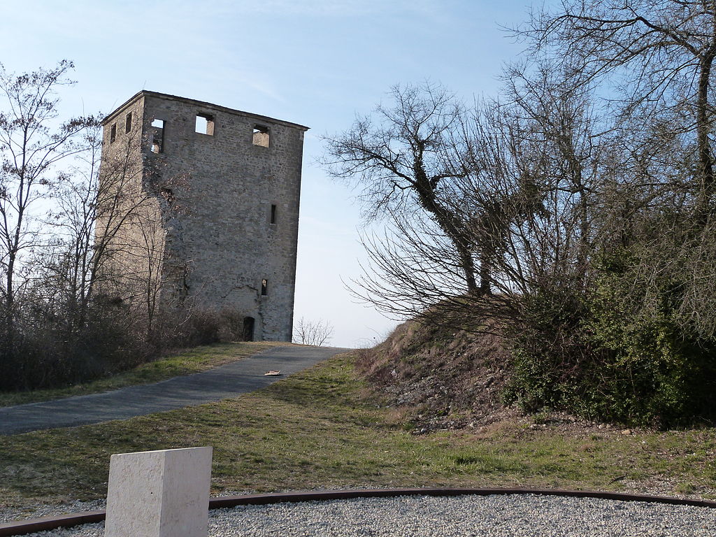 Château de Saint-Denis-en-Bugey2.JPG