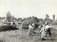 Farmers, ca 1855