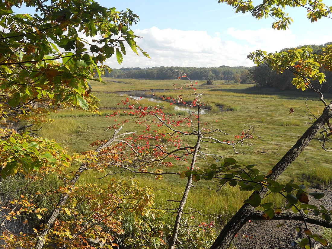 File:Cheesequake sp marsh.JPG