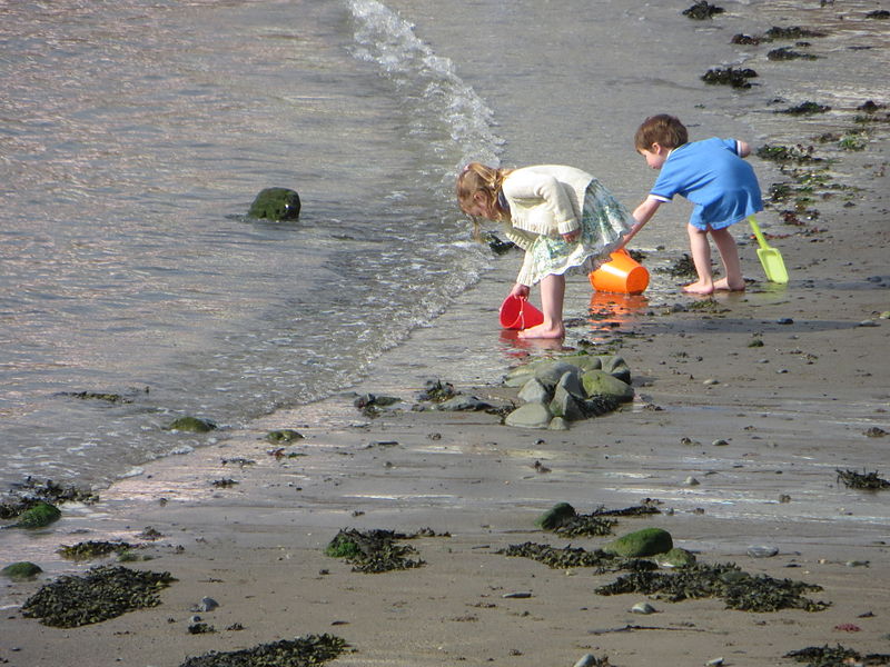 File:Children playing at the beach.JPG