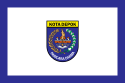 City Flag of Depok.svg