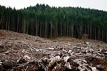 Clearcutting near Eugene, Oregon Clearcutting-Oregon.jpg