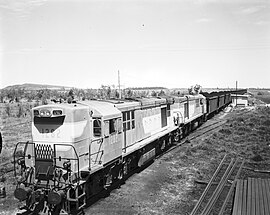 Coal train, Moura mine, c 1966.jpg