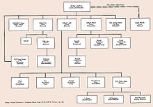 An organisation chart