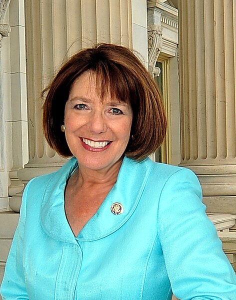 File:Congresswoman Davis 2011 (cropped).jpg