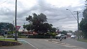 Thumbnail for Cooroy, Queensland