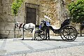 Horse Carriage outside of Mezquita in Cordoba