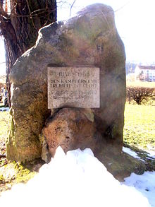 Memorial at the graveyard for the revolutionaries of 1848 Crossen Friedhof Denkmal 1848 01.JPG