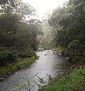 Thumbnail for Cumberland River (Victoria)