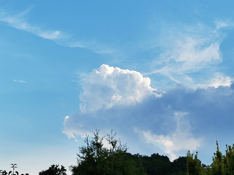 File:Cumulus cloud in Mömbris.jpg