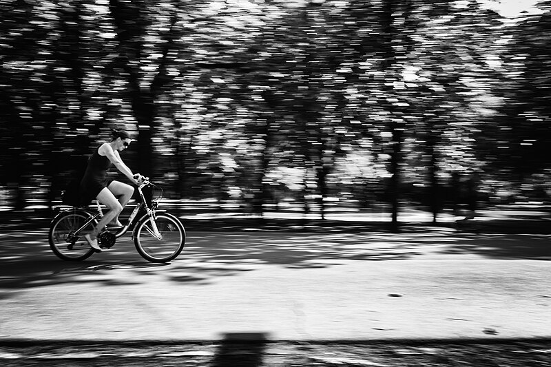 File:Cycling (panning) - Flickr - d26b73.jpg