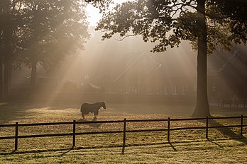 Amanhecer de outono na aldeia Börnste, Kirchspiel, Dülmen, Renânia do Norte-Vestfália, Alemanha. (definição 4 608 × 3 072)