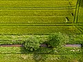 * Nomination Neusträßer Graben (surrounded by grain fields), Bauerschaft Börnste, Kirchspiel, Dülmen, North Rhine-Westphalia, Germany --XRay 03:33, 17 June 2024 (UTC) * Promotion  Support Good quality. --Johann Jaritz 03:39, 17 June 2024 (UTC)