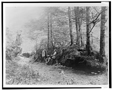 D.G. Elliot, A.K. Fisher, and Robert Ridgway in woods bordering Indian River, Sitka, Alaska, 1899) - Curtis LCCN2002706853.jpg