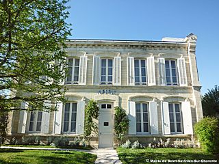 Saint-Savinien Commune in Nouvelle-Aquitaine, France