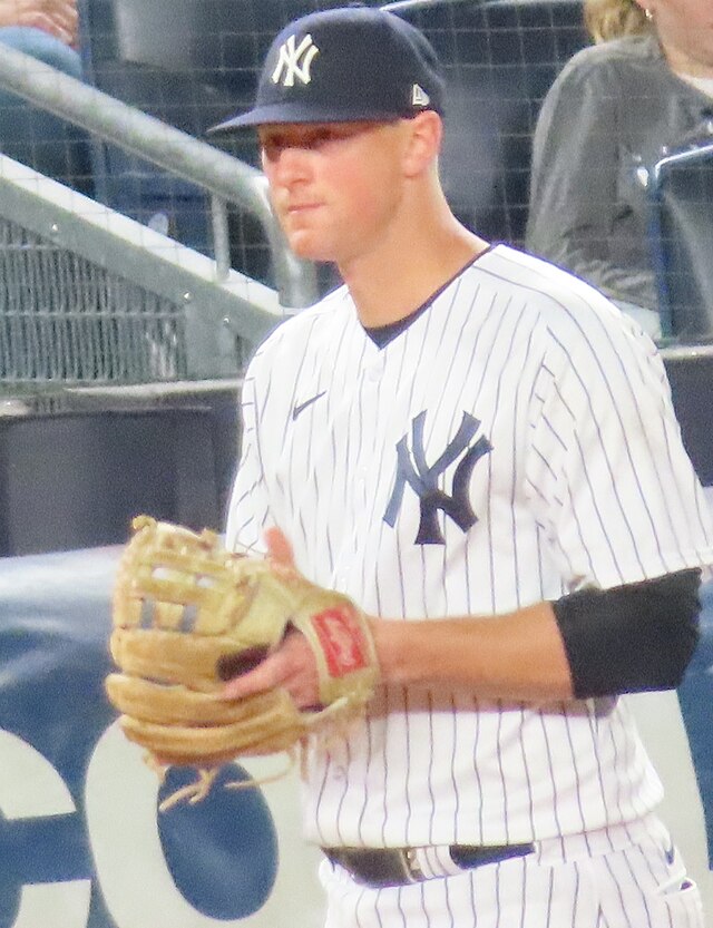 DJ LeMahieu - Wikipedia