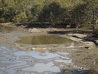 <span class="mw-page-title-main">Deception Bay Sea Baths</span> Historic site in Queensland, Australia