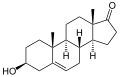 Deutsch: Struktur von Dehydroepiandrosteron (DHEA) English: Structure of dehydroepiandrosterone (DHEA)