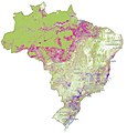 Desmatamento 2001-2018.jpg