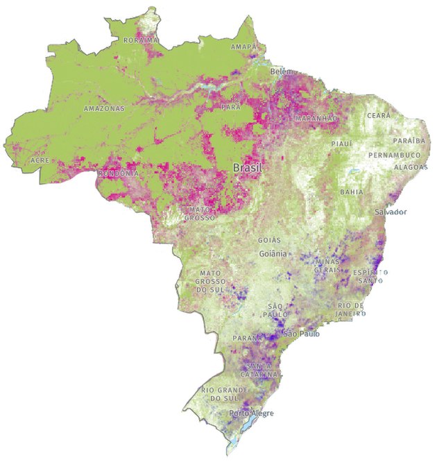 Vegetação do Brasil – Wikipédia, a enciclopédia livre