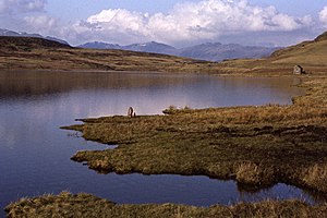 Devoke Water - geograph.org.uk - 1724808.jpg