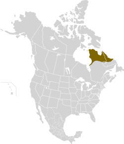 Distribution map of the Ungava Collared Lemming