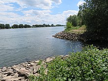 Die Mündung in den Rhein