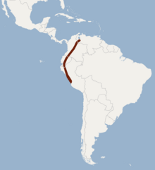 Distribution of Sturnira bogotensis.png