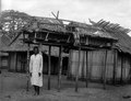 Madagaskarilainen kyyhkyslakka 1900-luvun alussa