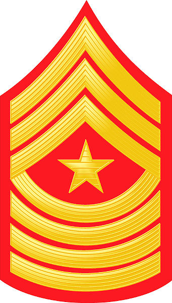 File:E9b USMC SM.jpg