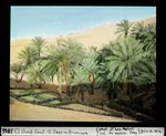 ETH-BIB-El Oued Souf, kl. Oase mit Brunnen-Dia 247-03816.tif