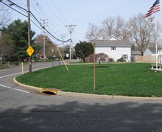 Biotechnology high school freehold