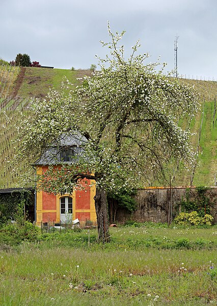 File:Ehnen Pavilion R01.jpg