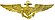 United States Naval Aviator/Astronaut-Insigno