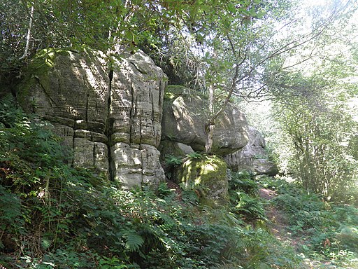 Eridge Rocks - geograph.org.uk - 3215451