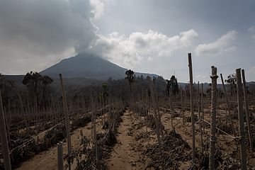 Sinabung eruption 2014