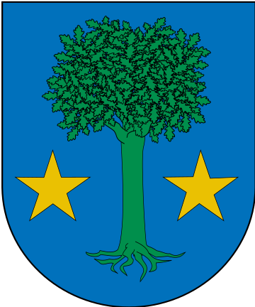 File:Escudo de Allin.svg