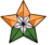 This star symbolizes selected content on Indian portal.