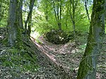 Naturschutzgebiet Wupper Osthang