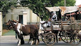 Cart typical of the period 1856 in a festivity to commemorate the migration to Colonia Valdense in, Uruguay.