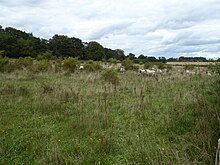 Bidang Gudang Heaths, Hilborough 1.jpg