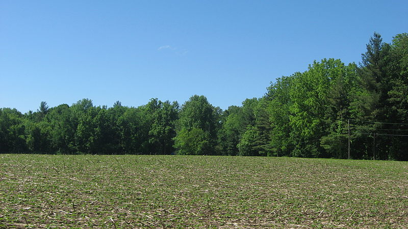 File:Field at the Ames Family Homestead.jpg