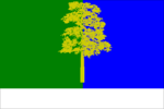 Flag of Kondinsky rayon (Yugra).png